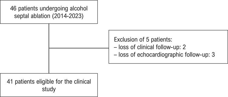 Brazilian Multicenter Registry of Alcohol Septal Ablation for Patients with Symptomatic Hypertrophic Obstructive Cardiomyopathy - BRASA Registry.