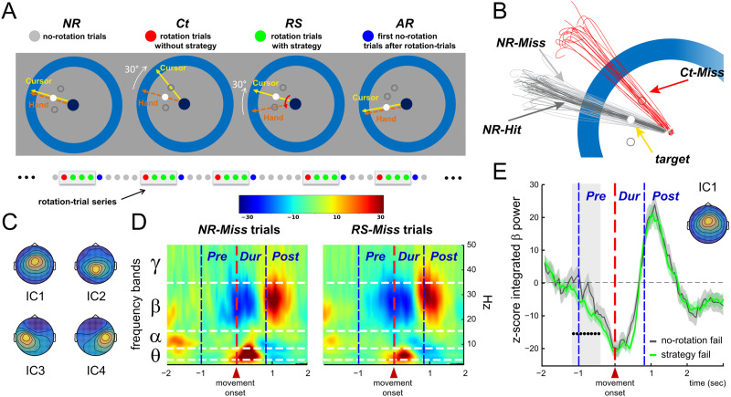Interdependence patterns of multifrequency oscillations predict visuomotor behavior.