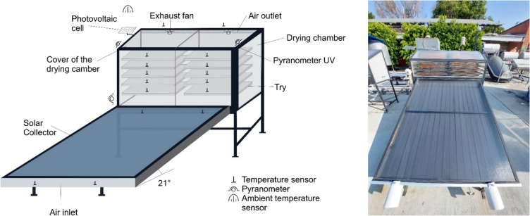 Total Phenolic, Flavonoid Content, and Antioxidant Activity of Dried Marigold (Tagetes erecta L.) Petals Produced in a Mixed-Mode Solar Dryer.