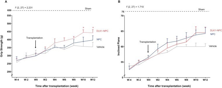 DLK1-expressing neural progenitor cells promote tissue repair and functional recovery after cervical spinal cord injury.
