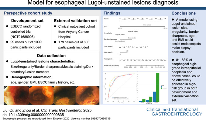 An Image-Based Model for Assisting in Diagnosing Malignant Esophageal Lesions During Lugol Chromoendoscopic Examination.