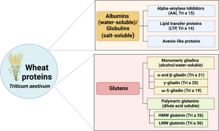 Molecular Diagnosis to IgE-mediated Wheat Allergy and Wheat-Dependent Exercise-Induced Anaphylaxis.