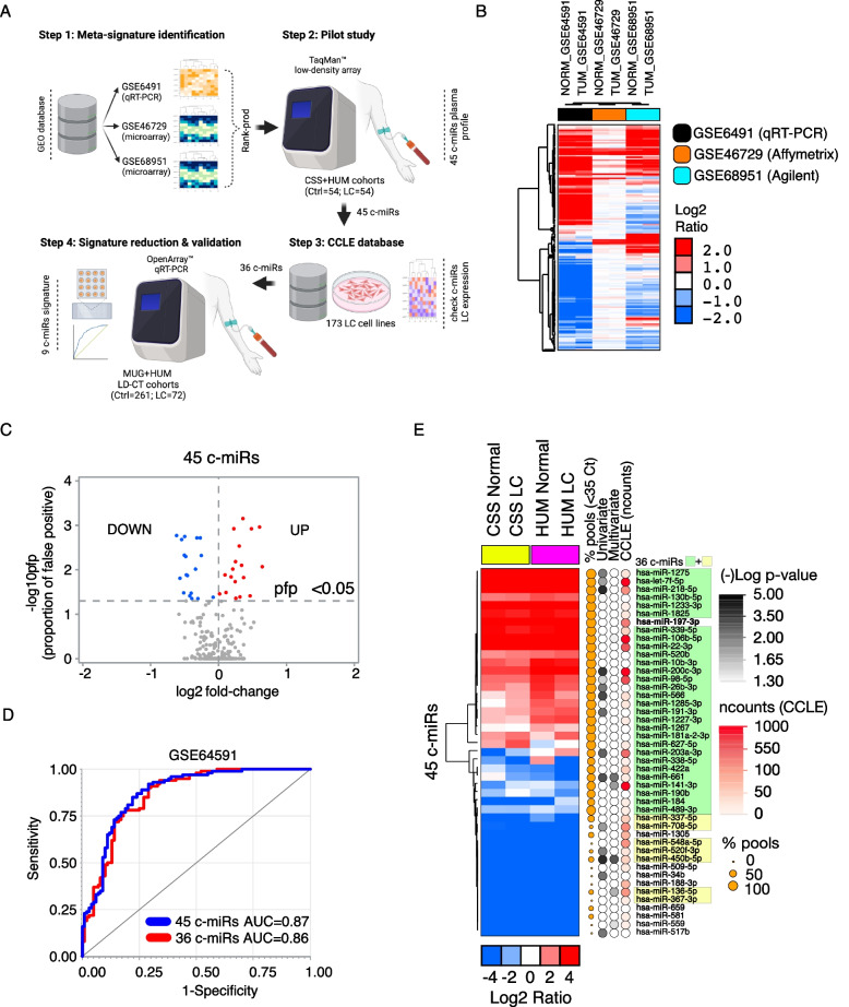 A plasma 9-microRNA signature for lung cancer early detection: a multicenter analysis.