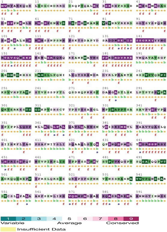 Novel WAC gene variant identified in the first documented case of DeSanto-Shinawi Syndrome in India.