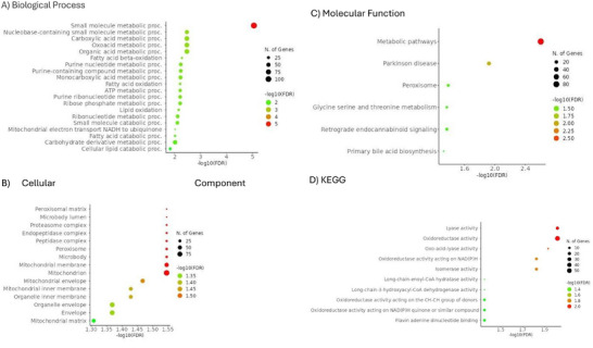 Proteome of Renal Tubuli and Serum Differentiate Pre-Existing Type 2 Diabetes and Post-Transplant Diabetes in Kidney Transplant Recipients.