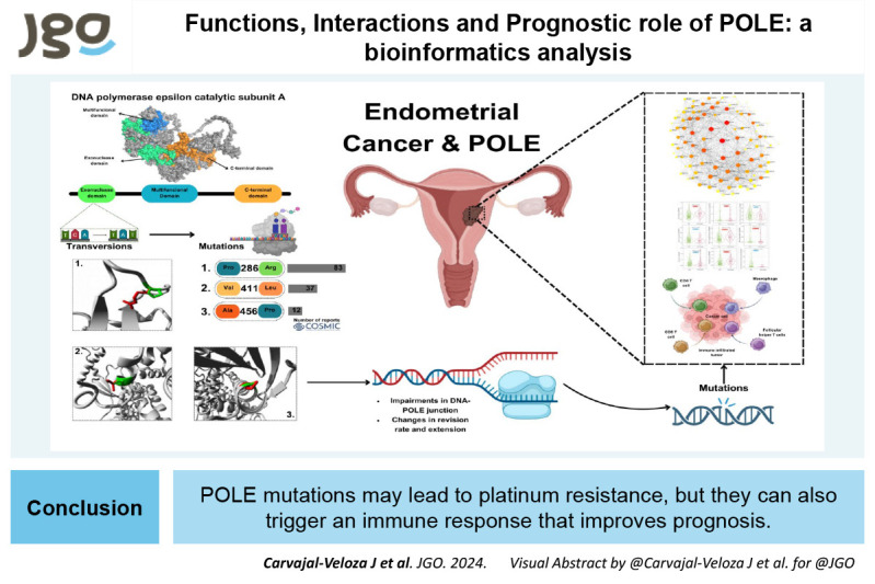 Functions, interactions and prognostic role of <i>POLE</i>: a bioinformatics analysis.