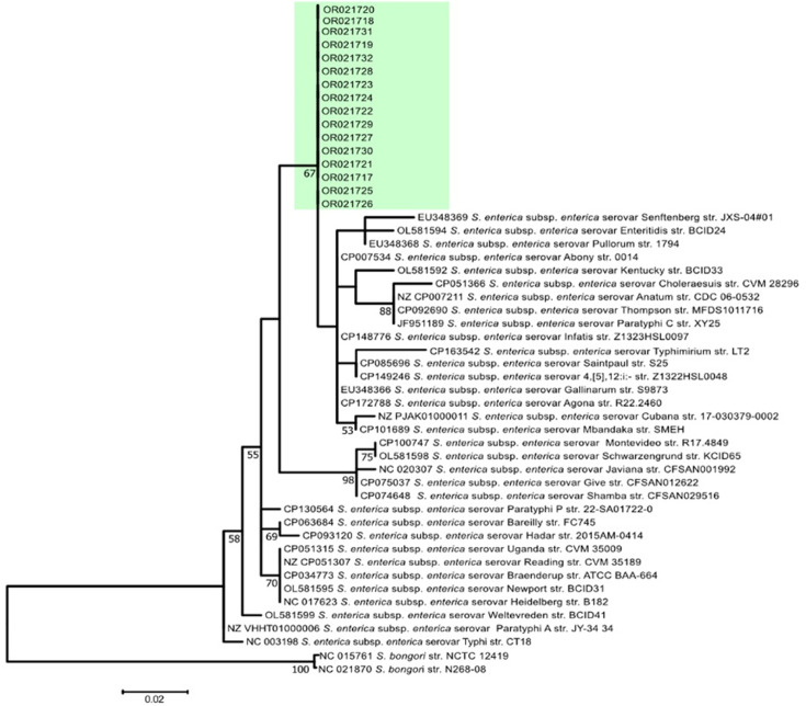 Detection and antibiotic resistance of Salmonella isolates from selected poultry farms in Dar es Salaam, Tanzania.