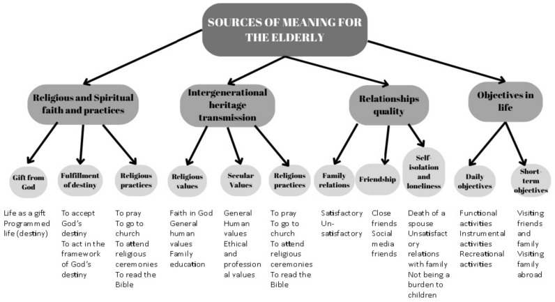 Meaning in Life Among Aged People: A Qualitative Study of an Institutionalized Elderly Sample.