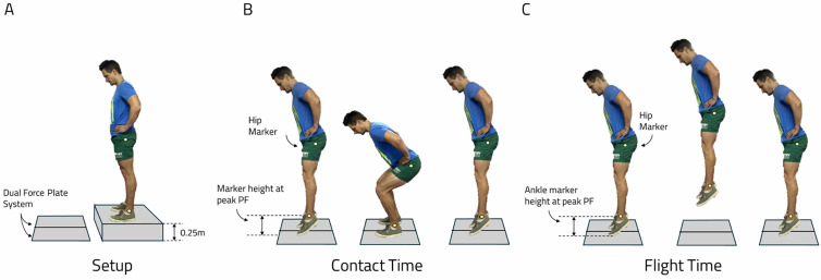 Investigating the validity of low-cost technologies for the assessment of jumping-based performances in people with patellofemoral pain.