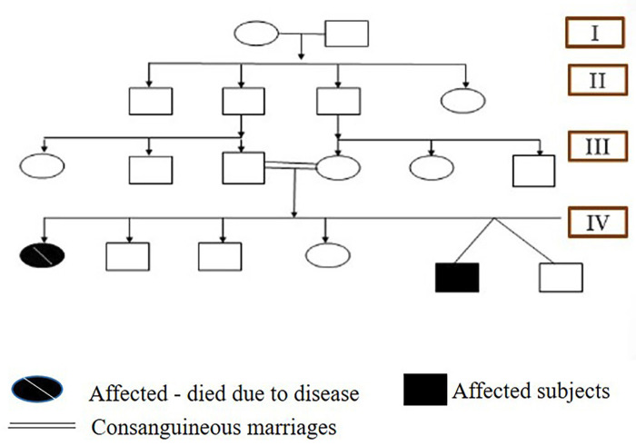 A Rare Case of Pyknodysostosis (Toulouse-Lautrec Syndrome): Dental Perspectives on Comprehensive Management.