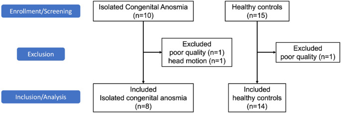Altered white matter architecture in patients with isolated congenital anosmia.