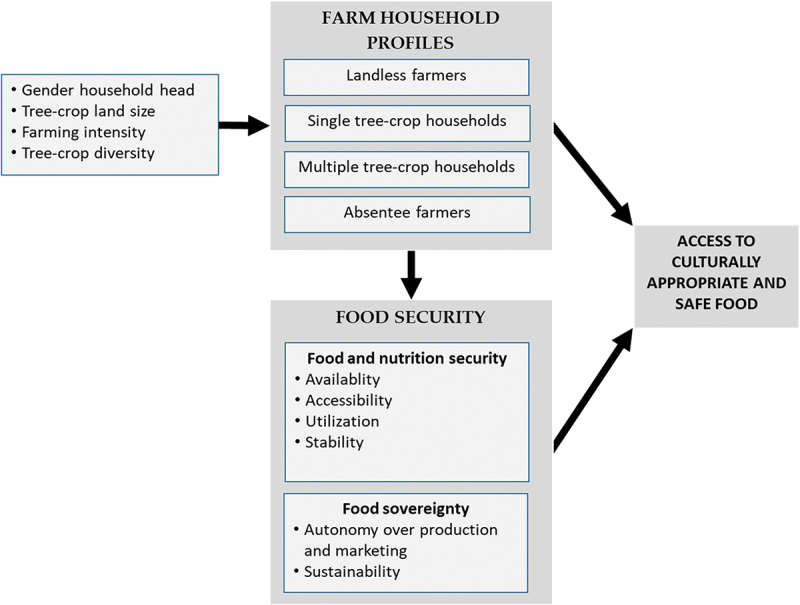 'We're not all the same'-how heterogeneity among smallholder tree-crop farmers in Ghana generates different degrees of food insecurity.