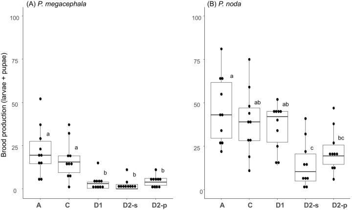 Open and closed economies as possible alternative strategies to resource heterogeneity in ants.