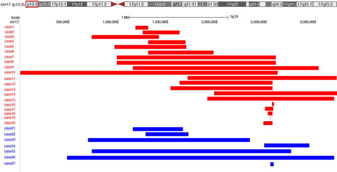 Deep clinical and genetic analysis of 17p13.3 region: 38 pediatric patients diagnosed using next-generation sequencing and literature review.