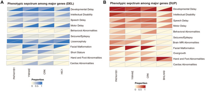 Deep clinical and genetic analysis of 17p13.3 region: 38 pediatric patients diagnosed using next-generation sequencing and literature review.