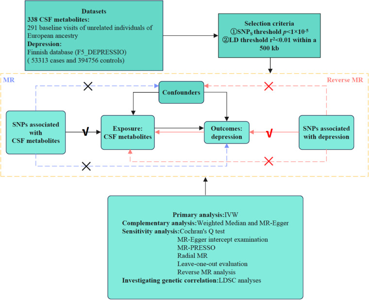 The Causal Association Analysis between Depression and Cerebrospinal Fluid: From the Perspective of Mendelian Randomization.