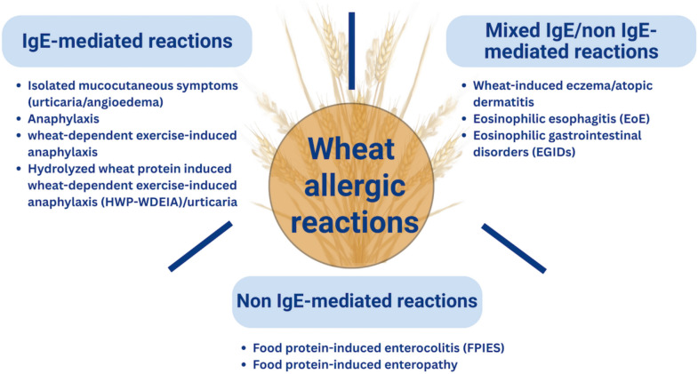 Molecular Diagnosis to IgE-mediated Wheat Allergy and Wheat-Dependent Exercise-Induced Anaphylaxis.