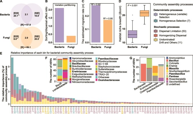 Harnessing the phyllosphere microbiota of wild foxtail millet for designing beneficial cross-kingdom synthetic communities.