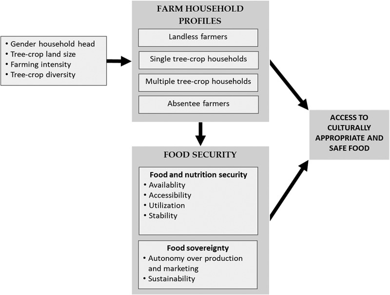 'We're not all the same'-how heterogeneity among smallholder tree-crop farmers in Ghana generates different degrees of food insecurity.