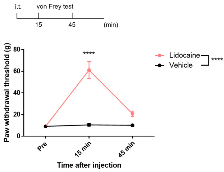 Development of a Novel Method of Spinal Electrophysiological Assessment via Intrathecal Administration at Analgesic Doses.