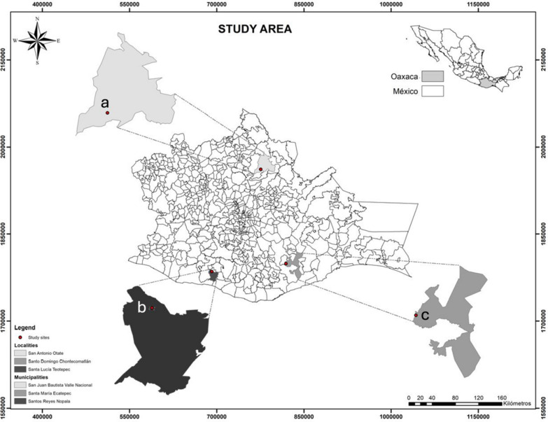 Folk taxonomy of wild mushrooms in communities of the indigenous groups Chatino, Chontal, and Chinantec in Oaxaca, Mexico.