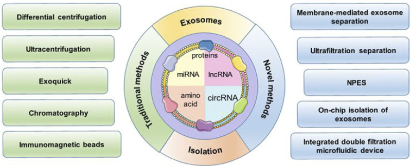 Exosome-Based Liquid Biopsy in Early Screening and Diagnosis of Cancers.