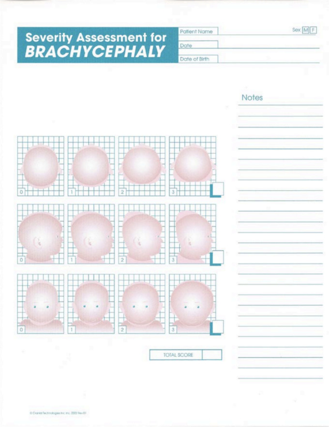 Are we all seeing the same thing? Discrepancies between parent-reported and physician-reported positional plagiocephaly severity scores.