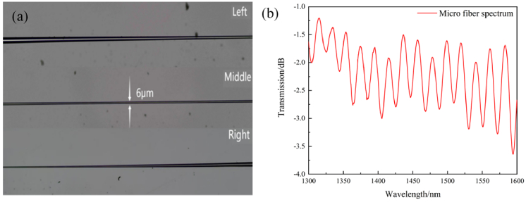 Ultra-low limit of detection of a carcinoembryonic antigen fiber sensor based on microfiber.