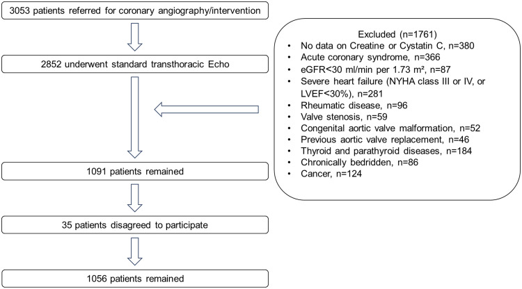 The Association Between Sarcopenia Index and Aortic Valve Sclerosis in Coronary Artery Disease Patients: Insights from a Retrospective Cross-Sectional Analysis and Animal Models.