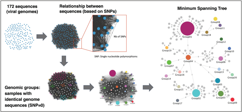 Genomic and spatial epidemiology: lessons learned from SARS-CoV-2 pandemic.
