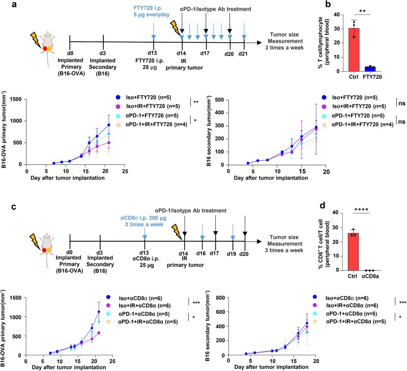Investigating tumor immunogenicity as a determinant of differential abscopal effects.