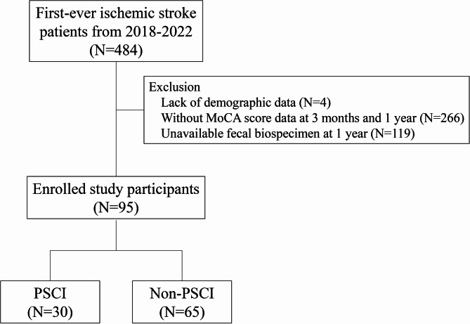 Association between post-stroke cognitive impairment and gut microbiota in patients with ischemic stroke.