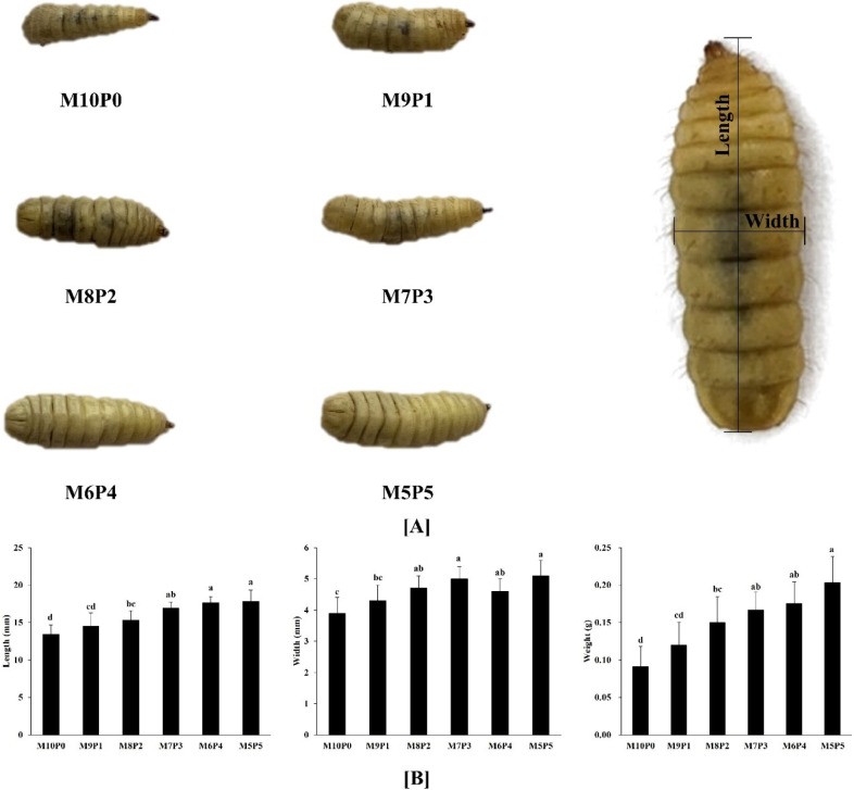 Effects of Feeding Mandarin and Poultry By-Products on Growth Performance and Physicochemical Properties of Black Soldier Fly (<i>Hermetia illucens</i>) Larvae.