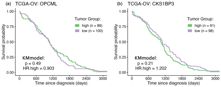 Bioinformatic RNA-Seq Functional Profiling of the Tumor Suppressor Gene OPCML in Ovarian Cancers: The Multifunctional, Pleiotropic Impacts of Having Three Ig Domains.