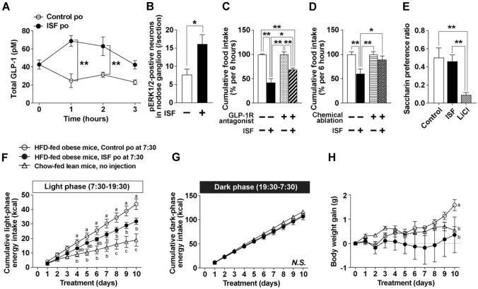 Comparing the anorexigenic effects and mechanisms of gut-derived GLP-1 and its receptor agonists: insights into incretin-based therapies for obesity.