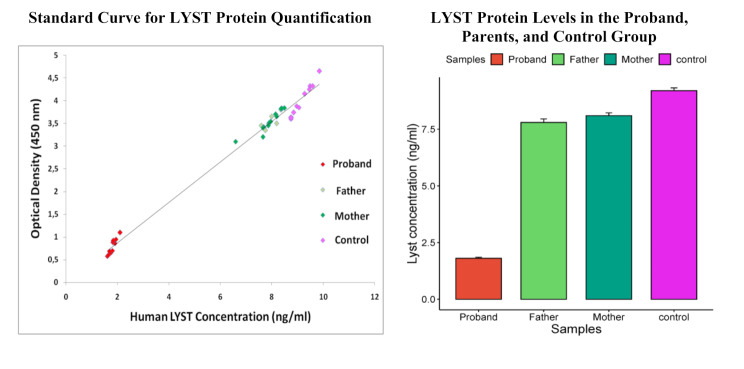 Comprehensive analysis of a novel LYST mutation in a Tunisian patient with Chediak-Higashi syndrome.