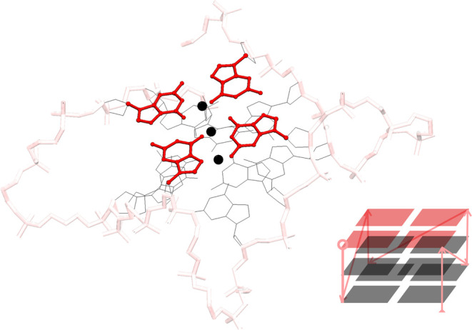 Polymeric Properties of Telomeric G‑Quadruplex Multimers: Effects of Chemically Inert Crowders
