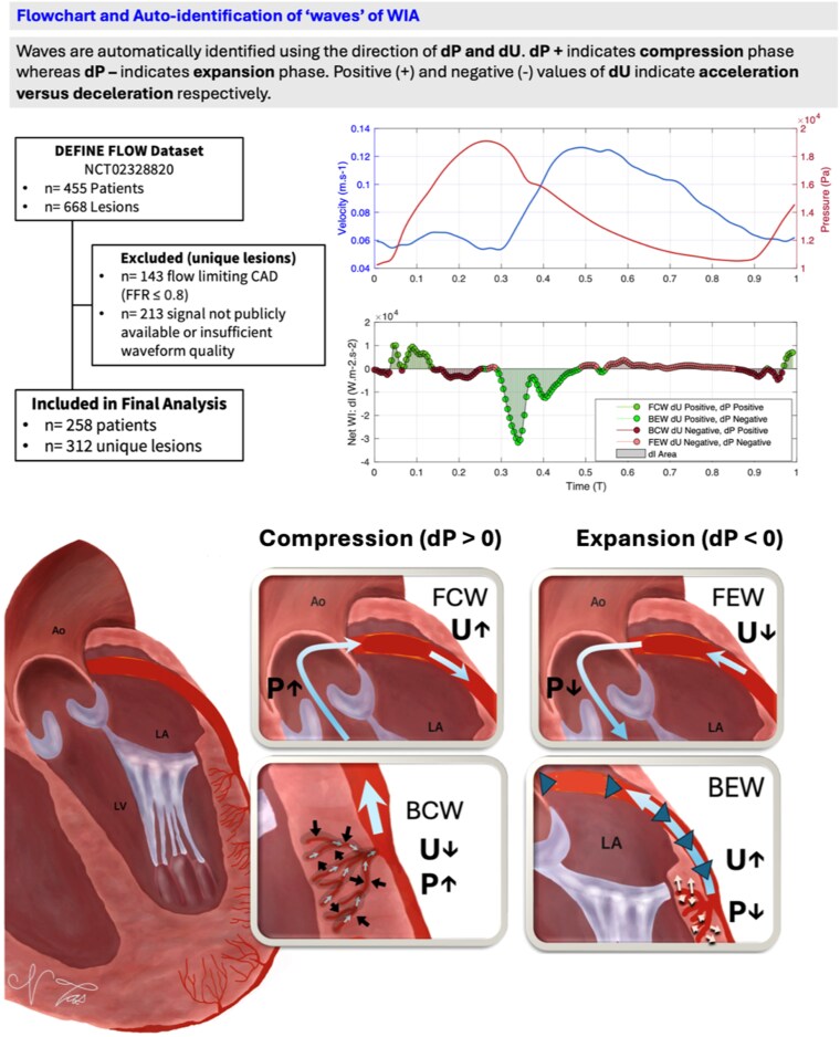 The impact of high microvascular resistance on coronary wave energetics depends on coronary microvascular functionality.