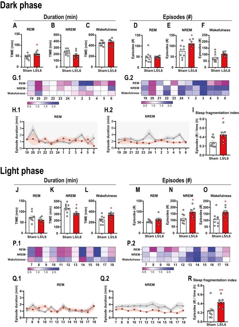 Neuropathic pain impairs sleep architecture, non-rapid eye movement sleep, and reticular thalamic neuronal activity.
