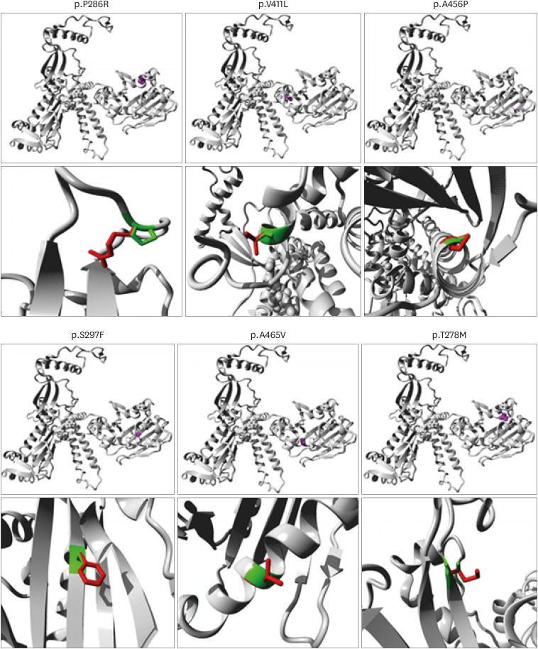 Functions, interactions and prognostic role of <i>POLE</i>: a bioinformatics analysis.