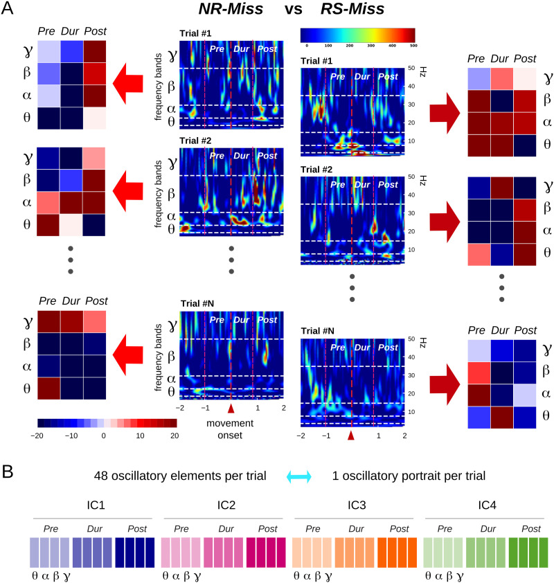 Interdependence patterns of multifrequency oscillations predict visuomotor behavior.