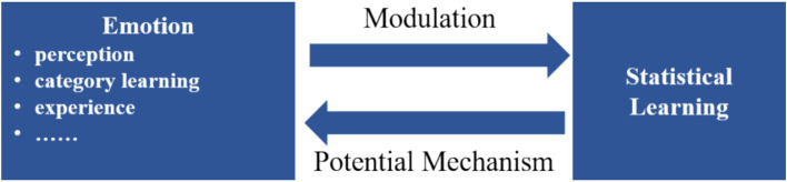 Statistical learning across cognitive and affective domains: a multidimensional review.