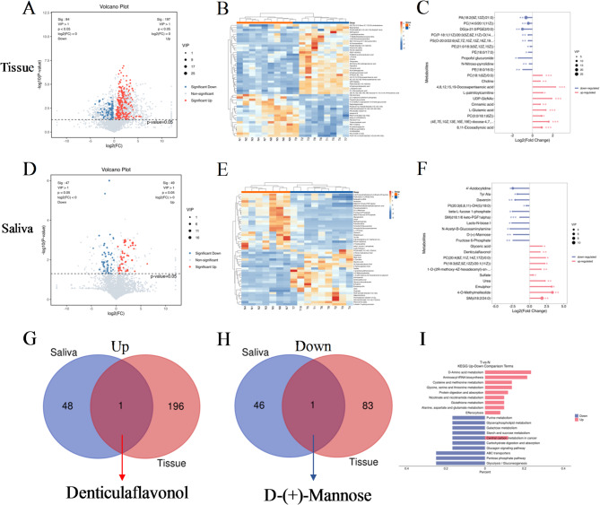 Microbiota and metabolite profiles of saliva, oral swab and cancer tissue from patients with oral squamous cell carcinoma (OSCC).