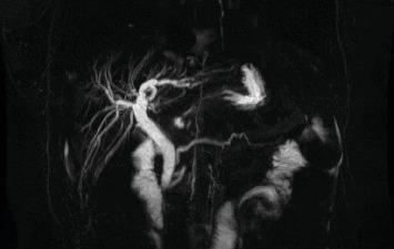 Abstract Image