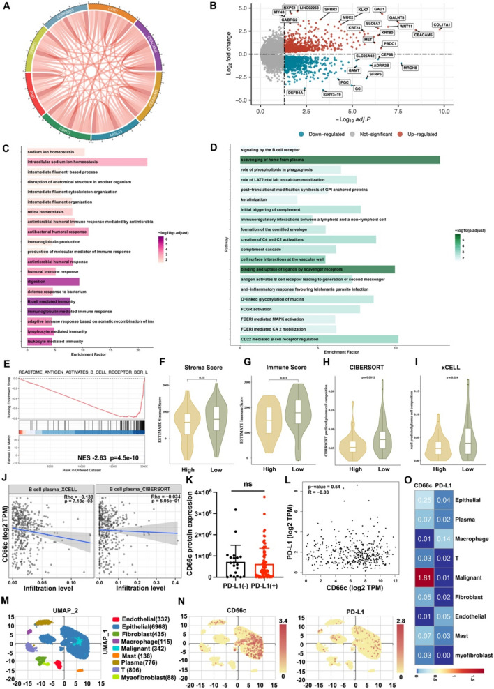 Identification of CD66c as a potential target in gastroesophageal junction cancer for antibody-drug conjugate development.