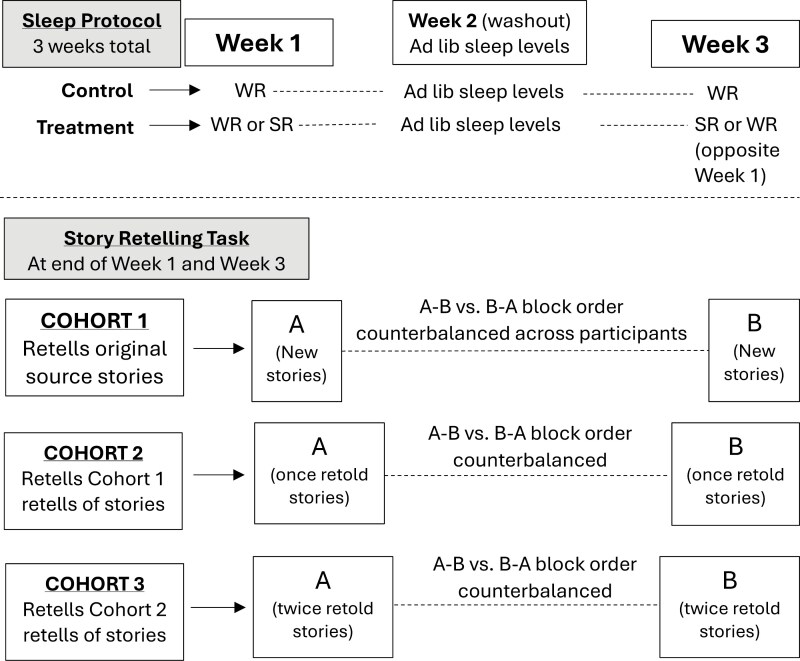 The impact of insufficient sleep on the serial reproduction of information.