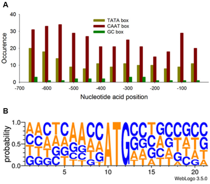 Systematic approach for dissecting promoters and designing transform systems in microalgae.