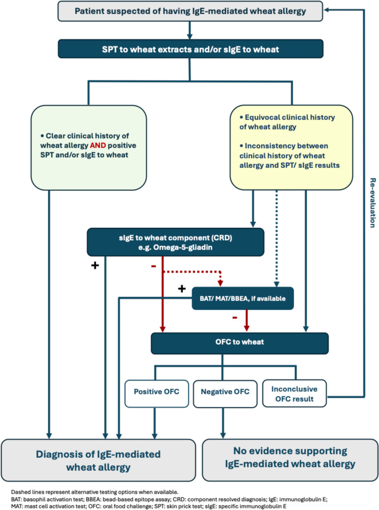 Molecular Diagnosis to IgE-mediated Wheat Allergy and Wheat-Dependent Exercise-Induced Anaphylaxis.