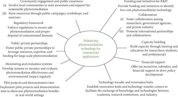 Phytoremediation: Sustainable Solutions for Heavy Metal Pollution and Bioenergy in Bangladesh.
