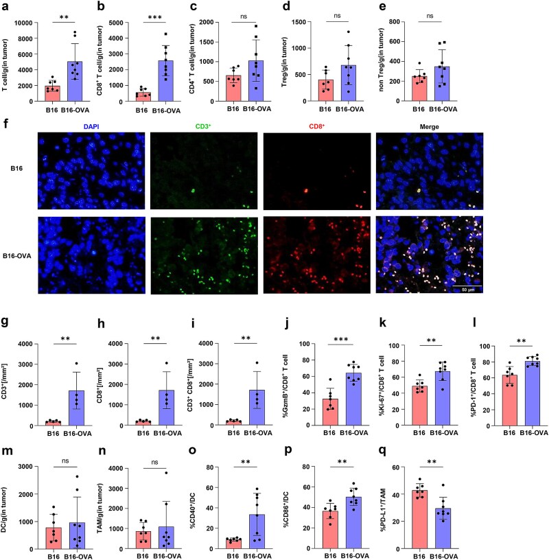 Investigating tumor immunogenicity as a determinant of differential abscopal effects.